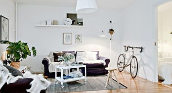 家居舒适自然歌德堡45平一居室效果图欣赏